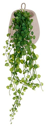 Atmosphera - Lierre Artificiel - Pot en Ciment - H62 cm