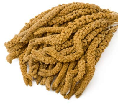 Eurital Kolbenhirse 5 kg gelb - für Kanarien, Wellensittiche, Vögel und Hühner