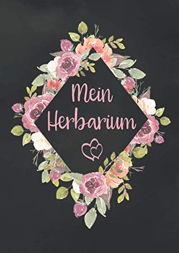 Mein Herbarium: Perfekt zur Pflanzenaufbewahrung | mit vorgefertigten Etiketten zur Pflanzenbestimmung | ausreichend Platz für getrocknete Blüten und Blätter | Motiv: bunter Blumenrahmen