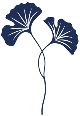 Tattwo.me – Temporäre Tattoos für Erwachsene und Kinder, hält 2 Wochen, wasserfest – Ginkgo Biloba Blatt – Pflanzliche Tinte – EU-Kosmetik-Zertifikat – (M0103)