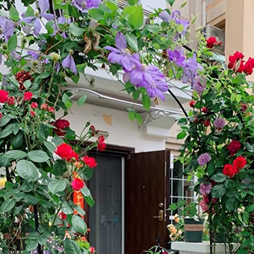 Metall-Gartenbogen für Kletterrosen und Clematis, wetterbeständig, Rosenspalier (weiß, 1,4 x 2,3 x 0,25 m)