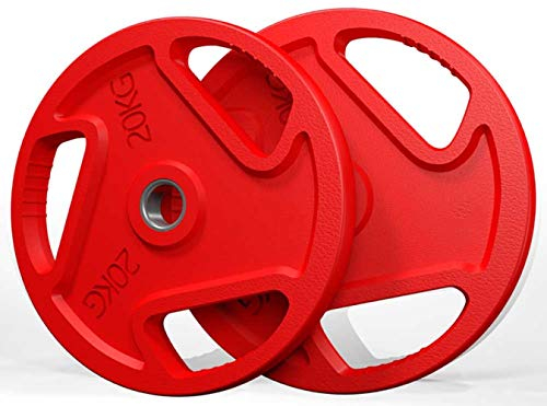 Hantelscheiben Gewichtsplatten aus Gusseisen,Paarweise 1,25 Kg bis 20 Kg,FüR 2-Zoll-Hantel-Langhantel-Lenker Perfekt FüR Heimgymnastik-Workout-Fettabbau/Wie gezeigt / 2x20KG