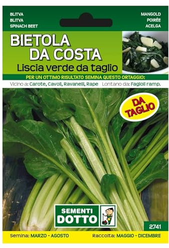 Sicignano | Semi Bietola da Costa Liscia Verde da Taglio - Pianta Precoce, Foglie Verdi con Costa Chiara, Busta Extra - 2 Confezione da 13g, Semina Marzo-Agosto, Raccolta Maggio-Dicembre
