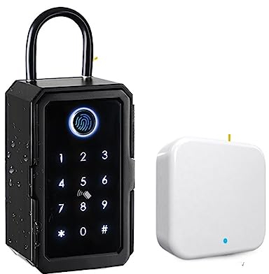 Schlüsselkasten, Schlüsselsafe Tuya Ttlock Fingerabdruck Digitaler Schlüsselkasten App Fernzugriff Wandmontage Kombinationssicherheit -Schließfach für Parkservice, Hotel-, Auto- und Hausschlüssel ( Co