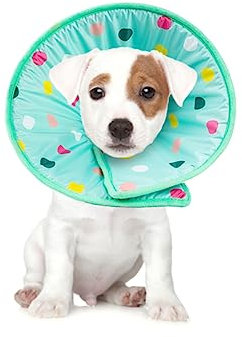 Toddmomy Pet Dog Collar Verstellbarer Elizabethan Schutzkragen Für Hunde Und Katzen Leichtes Und Langlebiges Material Zur Wundheilung XL