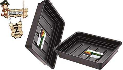 BricoLoco Lote 2 Bandejas de Grava Extra Profunda Premium (sin Agujeros). Base de hidratación de Las macetas. Sirve como semillero de germinación Interior y Huerto. Plástico Biodegradable