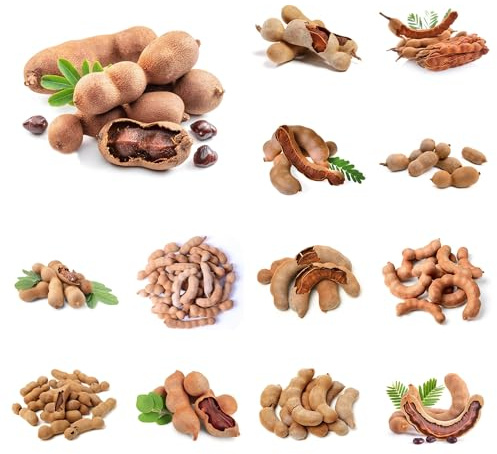 semi di tamarindo, vecchie varietà tamarindo decorazione del soggiorno appartamento fresca, resistenti per balconi 40pcs