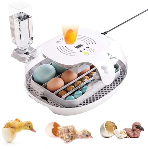 Brutautomat Vollautomatisch,Inkubator Brutkasten Brutmaschine für Hühner, Enten & andere Vögel,Inkubator mit Automatischem Rotationssystem und Temperaturkontrolle (16-25 Eier)
