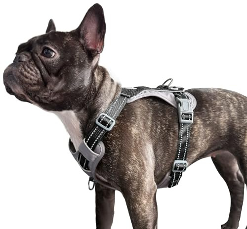 Huntboo Anti Zug Hundegeschirr für kleine mittelgroße Grosse Hunde, No Pull Geschirr, reflektierende Sicherheitsgeschirr mit 2 Leinenclips, kein Würgen, verstellbar für Training und Laufen(Schwarz,S)