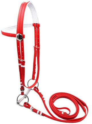 Fenteer Brida para Caballo con Correa para La, Equipo Ecuestre, Cómoda Y Versátil, Cabezada, Cuerda para Montar para Entrenamiento de Lecciones, M Red