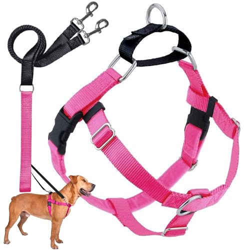 2 Hounds Design Freedom No-Pull Dog Harness with Leash, Large, 1-Inch Wide, Hot Pink