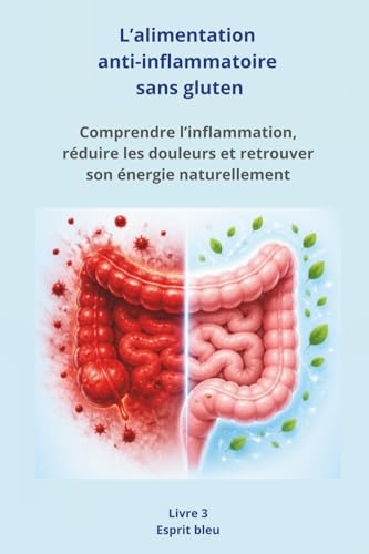 L’alimentation anti-inflammatoire sans gluten: Comprendre l’inflammation, réduire les douleurs et retrouver son énergie naturellement