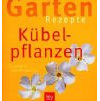 Kübelpflanzen: Einfach nachmachen
