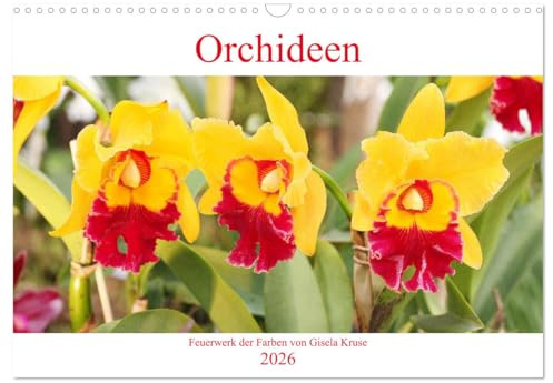 Orchideen Feuerwerk der Farben (Wandkalender 2026 DIN A3 quer), CALVENDO Monatskalender: Faszinierende Blumen mit immenser Vielfalt (CALVENDO Natur)