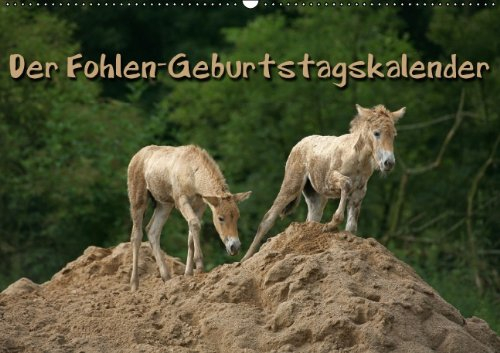 Der Fohlen-Geburtstagskalender (Wandkalender immerwährend DIN A2 quer): Lebensfreude pur - Pferdekinder (Monatskalender, 14 Seiten) (CALVENDO Tiere) [Kalender] [Jun 10, 2013] Berg, Martina