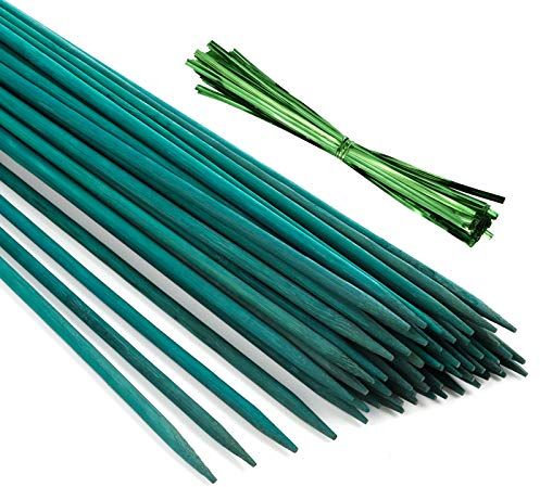 Pllieay 30 Pieces of 30 cm Green Bamboo Sticks with 60 Pieces Metallic Twist Ties, Green Plant Stake, Floral Picks, Wooden Sign Posting Garden Sticks, Plant sticks, Plant Stake