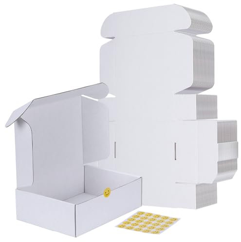 RLAVBL 25 Stück Doppelseitig Weiß Versandkartons, Maße: 25,4 x 17,8 x 7,7 cm, einfach zu montieren, Ideal für Kleine Unternehmen