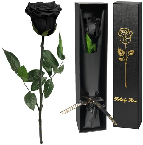 Yamonic Rosa Eterna Regalos para Mujer, Rosa Preservada con Tallo Regalo Mujer, Flores Preservadas Regalo Mujer Navidad Rosa Eterna Natural Preservada Regalo San Valentín Dia de la Madre,Rosa Negra