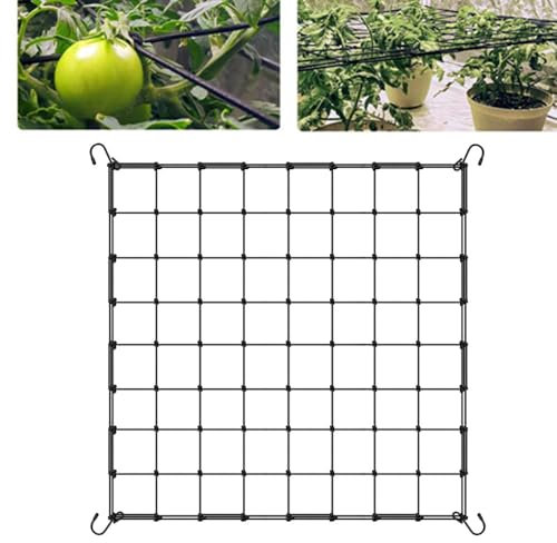 Red de protección de verduras, red de nailon para jardín de frutas, CuiCanfla Crecer tienda de campaña, (60 x 60 cm) Red elástica con 4 ganchos, red para plantas, verduras, flores, frutas