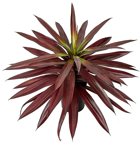 Briful Fake Plants Large Artificial Agave Plants in Pot, 44cm Decorative Artificial Indoor Plant Red Agave Faux Plant for Home Office Decor