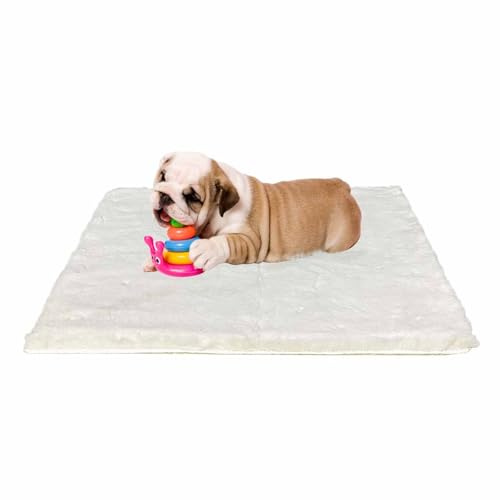 Ostlttyn hundbädd medelstora hundar – 76 x 54 cm hundkudde fluffig hundmatta tvättbar hundmadrass för fleine hundar halkfri undersida, beige