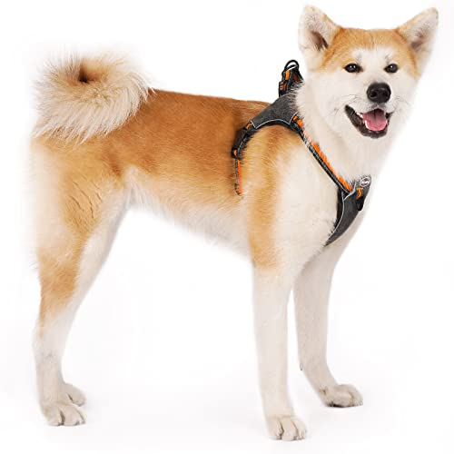 ThinkPet No-Pull Geschirr, Ausbruchsicheres Reflektierendes Step-in Hundegeschirr, Verstellbares Atmungsaktives Geschirr, mit hinterem/vorderem Clip für bessere Kontrolle