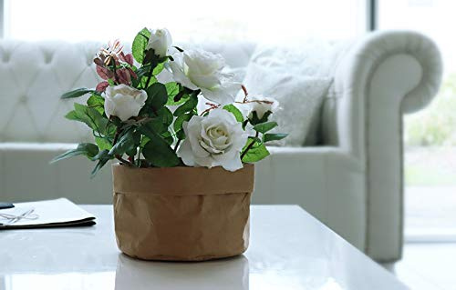 B&P Italia - Bolsa cubremaceta para Plantas, de Fibra de celulosa, Avana