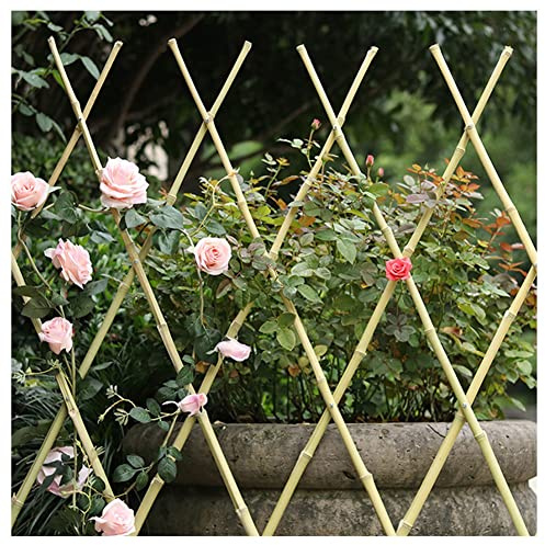 XXIOJUN Expandable Garden Trellis, Bamboo Pole Fence Panel, Plant Support Lattice, Climbing Plants Vine Ivy Rose Cucumbers Clematis (Color : Natural Color, Size : 90x200cm)