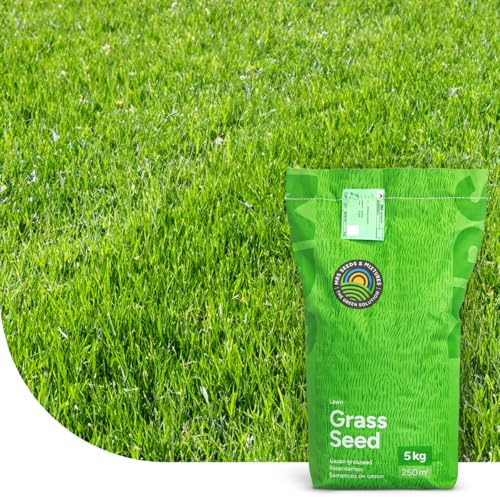 Turbo Green Rasensamen | 15 kg - 750m2 | Nachsaat | Schnellkeimende Grassamen | Premium Qualität Sport- und Spielrasen | Rasen nähen und nachsäen | Repariert kahle Stellen im Rasen | MRS Seeds