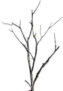 Miniature ho Scale Tree Sagebrush Deciduous Armatures Railroad Wargaming Scenery Dollhouse Garden Realistic Model Tree Miniature Landscape (7 Inches)