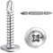 SHUNCHG Lot de 150 Vis à Tôle Autoperceuses M4.2 x 19mm à tête Bombée en Acier Inoxydable 410, Cruciformes M4.2, Vis à Tête Ronde Autoperceuse Avec Tournevis pour Acier, Tôle