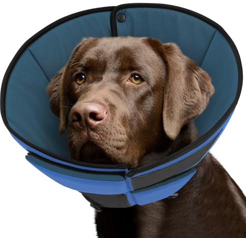 Queenmore Halskrause Hund, Weich Schutzhalsband, Genesungshalsband nach Operationen,Verstellbarer elisabethanischer Schutzkragen, Leckschutz gegen Belecken und Beißen, für Hunde & Katzen (L, Blau)