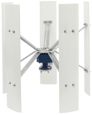 Loobiiny Generador de turbinas eólicas de eólica de 5 hojas, con dispositivo de control, turbina eólica de 12 V, 24 V, generador de viento de 100 W (12 V)