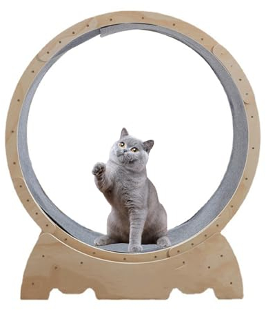 Katzen-Laufrad, Katzenräder für Indoor-Katzen, Laufband mit Verriegelungsmechanismus, Laufen für Indoor-Katzen, Fitness und Gesundheit, geeignet für die meisten Indoor-Katzen, Spielzeug, Katzenmöbel
