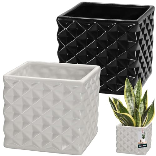 KOTARBAU® Blumentopf Keramik glasiert Quadratisch Weiß Schwarz 14 x 14 cm H 13 cm Übertöpfe für Zimmerpflanzen Orchideen & Sukkulenten Topf Pflanzen Töpfe Blumen Übertopf Blumentopf viereckig