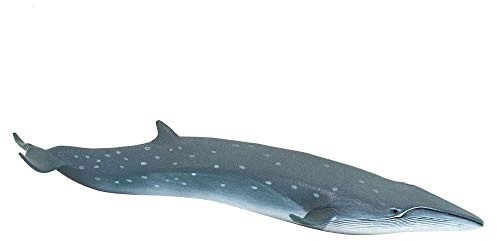 Safari Wild Sea Life Whale | Ungiftig und BPA-frei | Geeignet für Kinder ab 3 Jahren Ltd