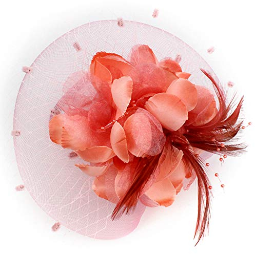 Fascinator Damen Hut Haarschmuck Blume Bankett Mesh Hut Feder Haarklammer Karneval Brautschleier Elegant Haarspangen Vintage Haarclip Hochzeit Haarreif Cocktail Party Kopfschmuck Tea Fasching Partyhut