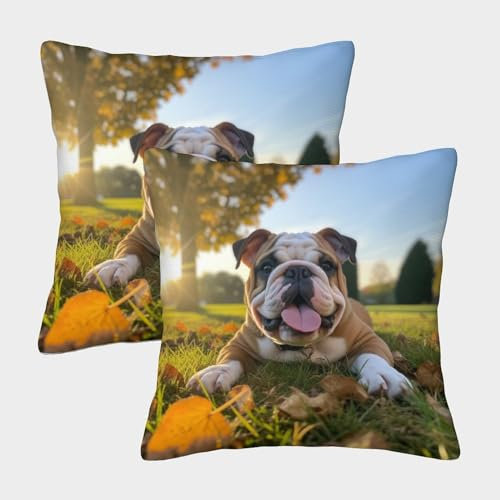 MEFESE Bulldogge Dekorative Niedliche Bulldogge Geschenke Kissenbezüge Im 2er-Set, Geeignet Für Living Room Accent Und Outdoor Leisure, Maschinenwaschbar 50x50cm