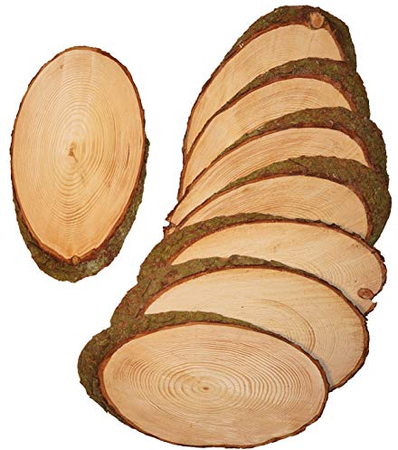 8 Stück ovale Holzscheiben Länge ca. 25 cm Breite ca. 15 cm Baumscheiben Astscheiben mit Rinde Rindenscheibe Deko Basteln Floristik Hochzeit