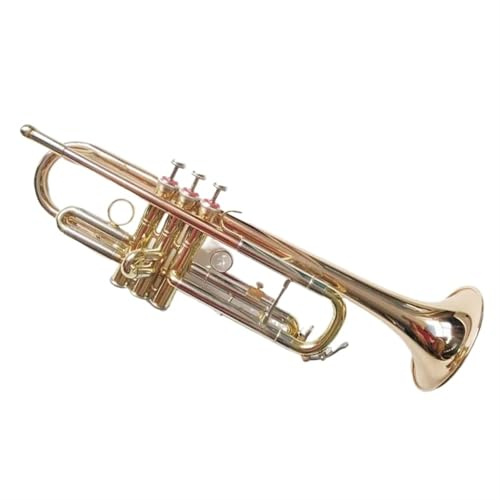 Blasinstrument Phosphorbronze Professionelle B-Trompete Messing Anfänger Langlebige Standard-Trompete