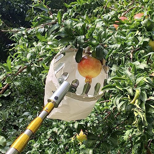 Poste telescópico para recoger manzanas con bolsa de transporte de frutas, cosechadora de acero inoxidable resistente y ligera para mango, pera, naranja, aguacate, limonero