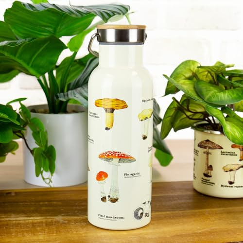 Gift Republic Bouteille d'eau chaude et froide à double paroi en acier inoxydable, 500 ml, anti-fuite, sans BPA, avec couvercle à incrustation en bois, respectueuse de l'environnement pour les
