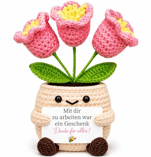 MOAZIFI Handgehäkelte Blumen In Blumenvase Als Abschiedsgeschenk Kollegin – Einzigartiges Abschied Kollegin Zum Jobwechsel & Ruhestand, Beste Kollegin Geschenk, Schreibtisch Deko Für Büro, Handarbeit