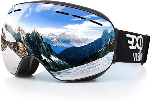 EXP VISION Skidglasögon för snowboardåkning, för män och kvinnor, ungdomar, 100 % UV400-skydd, imskyddande beläggning på glasögonen, vinter, snöglasögon med sfärisk avtagbar lins (silver)