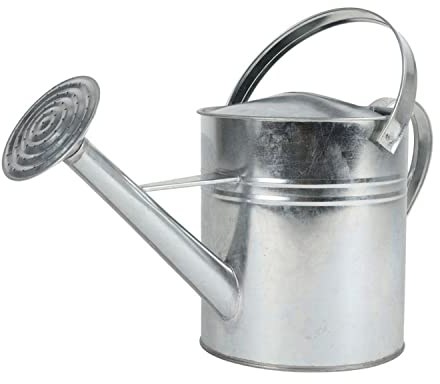 Arrosoir argenté 5 l avec douchette - Arrosoir de jardin - 5 l - Modèle 2025