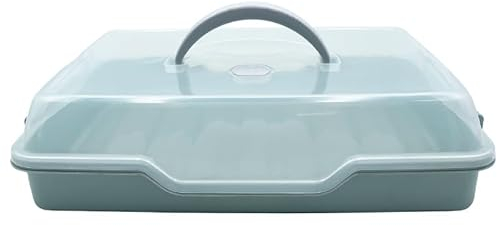 VIRSUS Porta Torte RETTANGOLARE in plastica, misura 43x30x10 cm, Contenitore con coperchio trasparente, portatorte 4 chiusure di sicurezza, per la conservazione di dolci e torte -6778F (Verde Acqua)