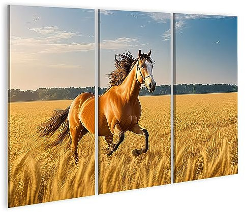 islandburner Prime Bild auf Leinwand Reitsport galoppierende Pferde goldene Weizenfelder majestätisch Bilder Wandbilder Poster