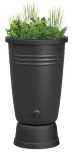 Elho Green Basics Rainbarrel Plus 110LTR - Serbatoio Per Acqua Piovana per Coltura E Raccolta - Ø 58.4 x H 80.4 cm - Nero/Living Black
