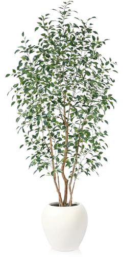 VeriNatural 8FT Artificial Ficus Tree, Indoor Faux Ficus Plant with Realistic Leaves & Natural Wood Trunk, 8ft Tall, Green, All Seasons, Perfect for Living Room Home Decor