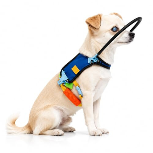 Pettorina Halo per cani ciechi, collare Halo regolabile, navigazione sicura e protezione della testa, accessori per cani ciechi e ipovedenti